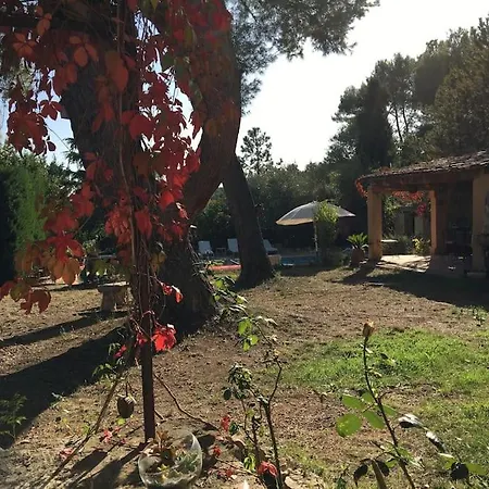 Flc - Large Charming House - Swimming Pool Villa Lambesc